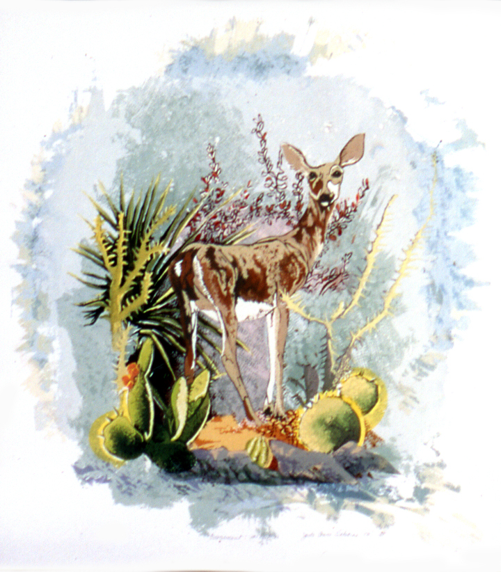 Evenescent en Pectore